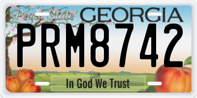 GA license plate PRM8742