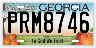 GA license plate PRM8746