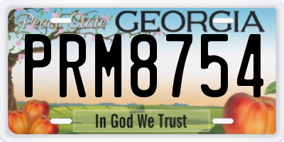 GA license plate PRM8754