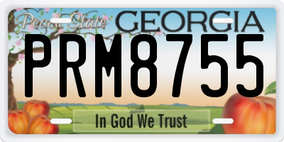 GA license plate PRM8755