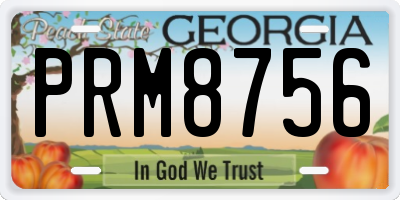 GA license plate PRM8756