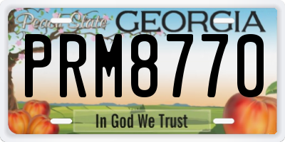 GA license plate PRM8770