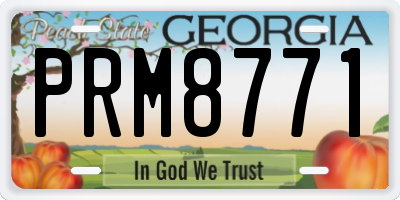 GA license plate PRM8771