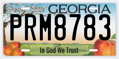 GA license plate PRM8783