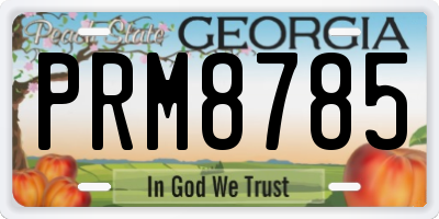 GA license plate PRM8785
