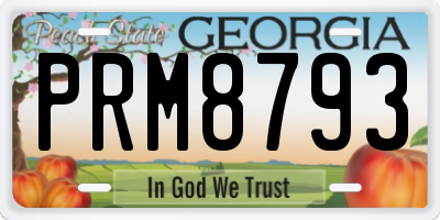 GA license plate PRM8793
