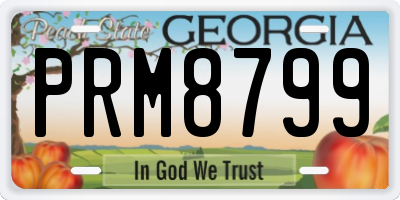 GA license plate PRM8799