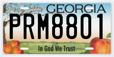 GA license plate PRM8801