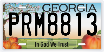 GA license plate PRM8813