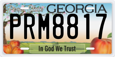 GA license plate PRM8817