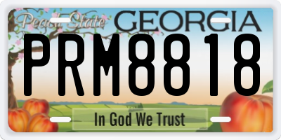 GA license plate PRM8818
