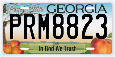 GA license plate PRM8823