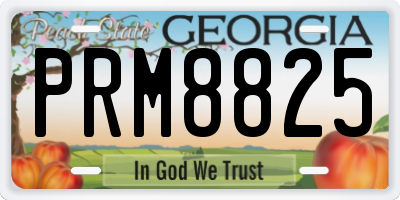 GA license plate PRM8825