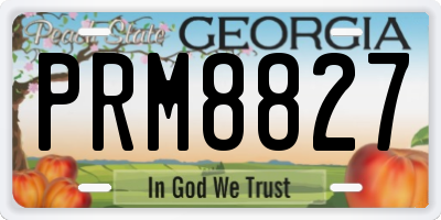 GA license plate PRM8827