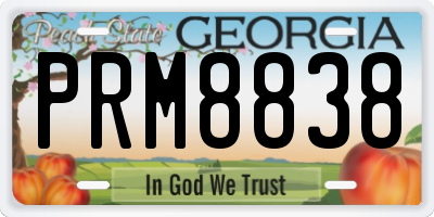 GA license plate PRM8838
