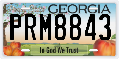 GA license plate PRM8843