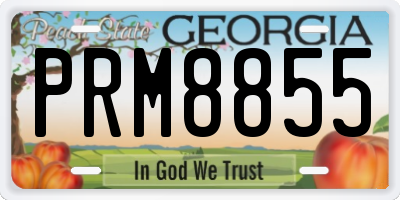GA license plate PRM8855