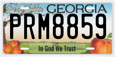 GA license plate PRM8859