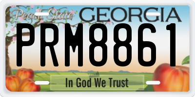 GA license plate PRM8861