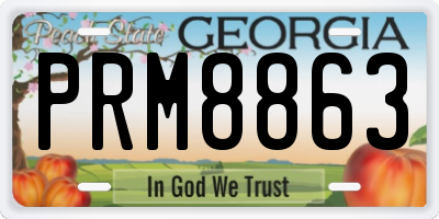 GA license plate PRM8863