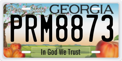GA license plate PRM8873