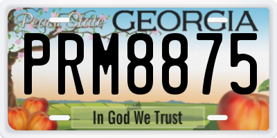 GA license plate PRM8875