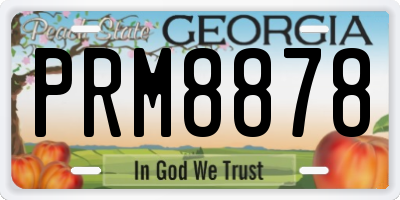 GA license plate PRM8878