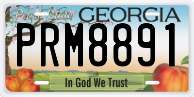 GA license plate PRM8891