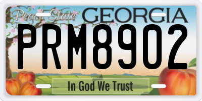 GA license plate PRM8902