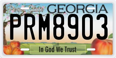 GA license plate PRM8903