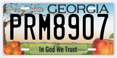 GA license plate PRM8907