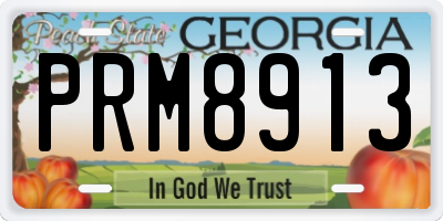 GA license plate PRM8913