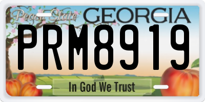 GA license plate PRM8919