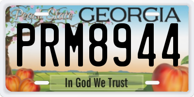 GA license plate PRM8944