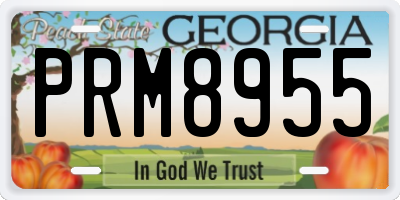 GA license plate PRM8955
