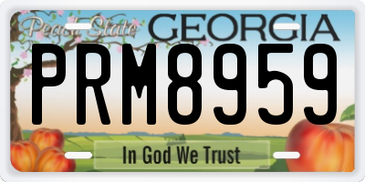 GA license plate PRM8959