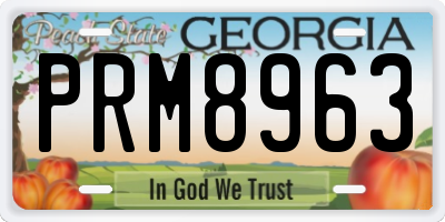 GA license plate PRM8963