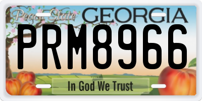 GA license plate PRM8966
