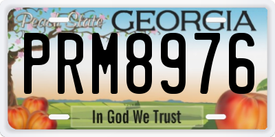 GA license plate PRM8976