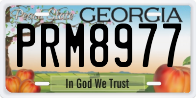 GA license plate PRM8977