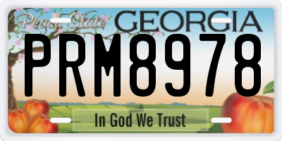 GA license plate PRM8978