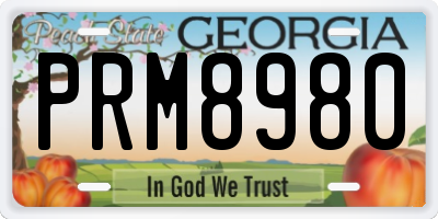 GA license plate PRM8980