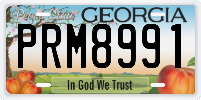 GA license plate PRM8991