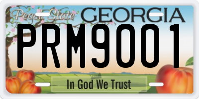 GA license plate PRM9001