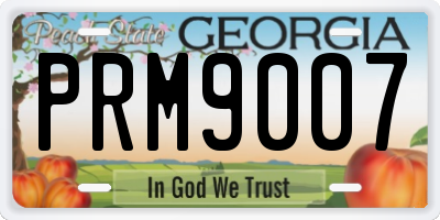 GA license plate PRM9007