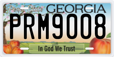 GA license plate PRM9008