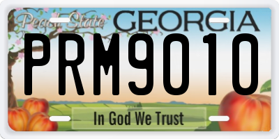 GA license plate PRM9010