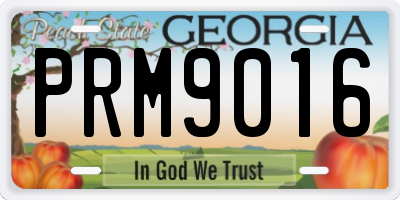 GA license plate PRM9016