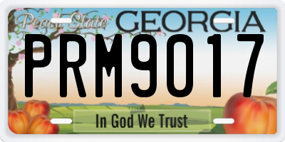 GA license plate PRM9017