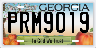 GA license plate PRM9019